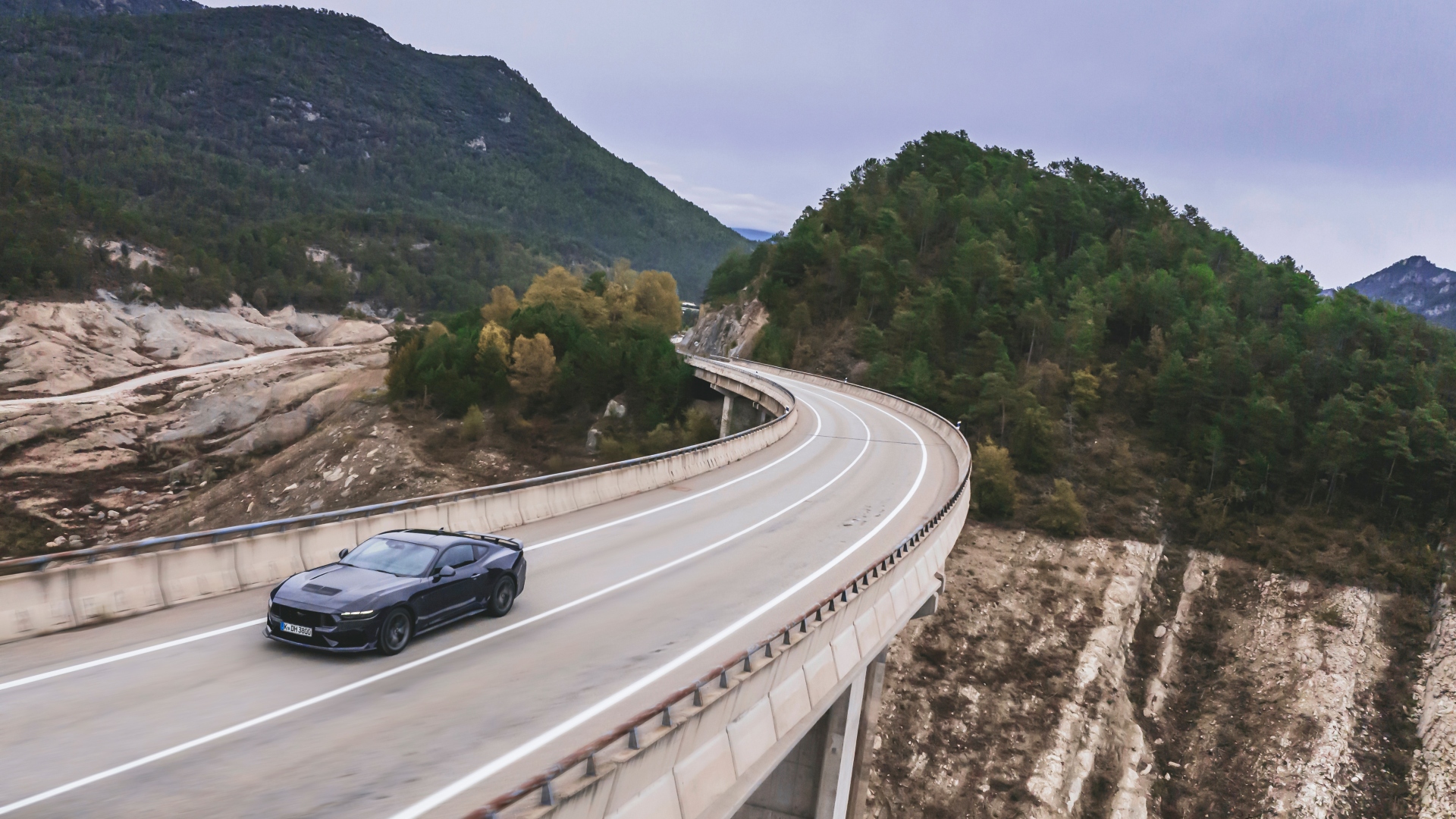 Dark_Horse_Blue_Ember_011 Dark_Horse_Blue_Ember_011