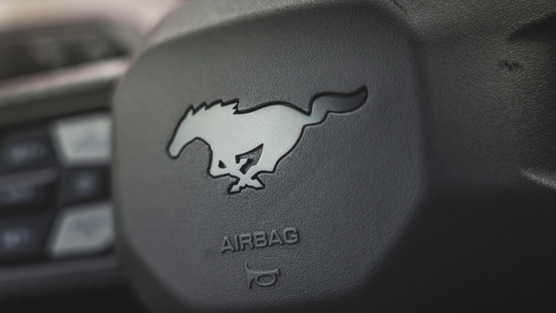 Dark_Horse_Blue_Ember_022 Dark_Horse_Blue_Ember_022