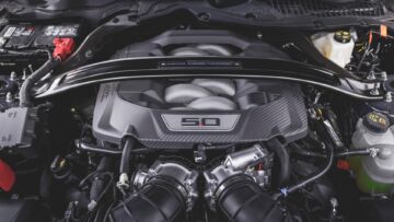 Dark_Horse_Blue_Ember_024 Dark_Horse_Blue_Ember_024