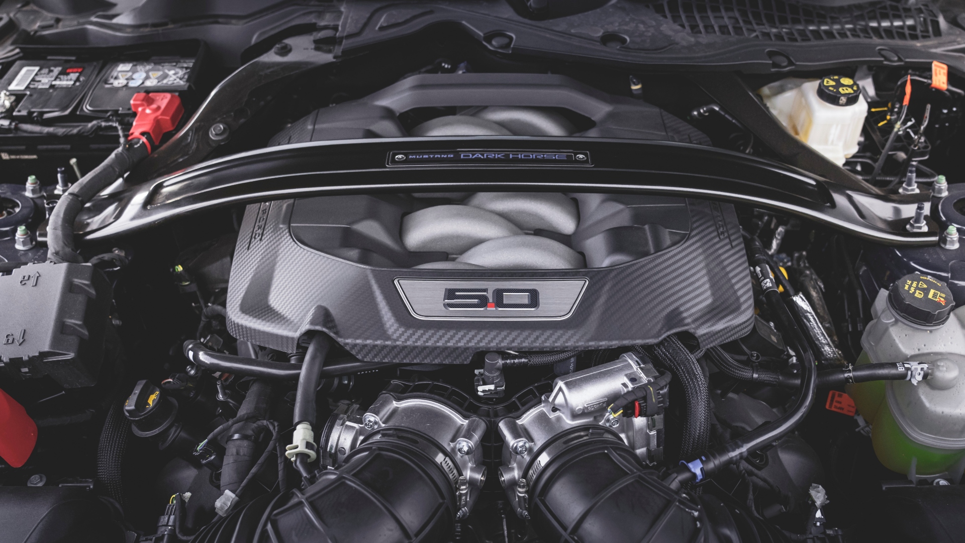 Dark_Horse_Blue_Ember_024 Dark_Horse_Blue_Ember_024