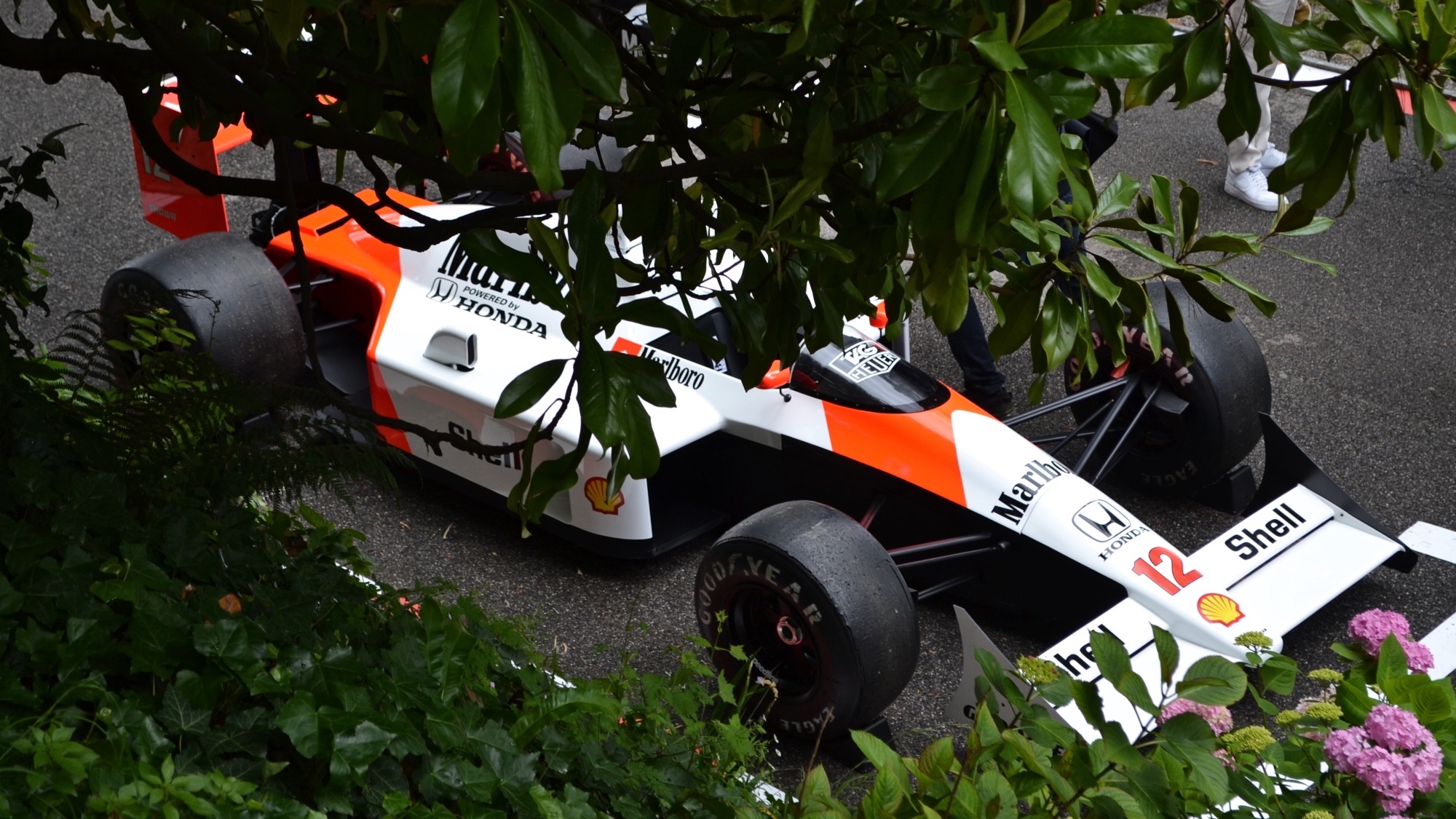 FuoriConcorso 2024: come lustrarsi gli occhi