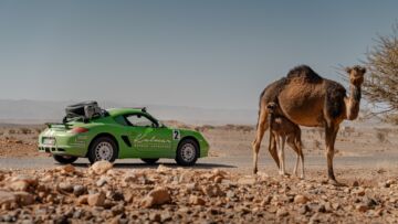 KALMAR Beyond Adventure - Trans Africa - Camel - Full Size
