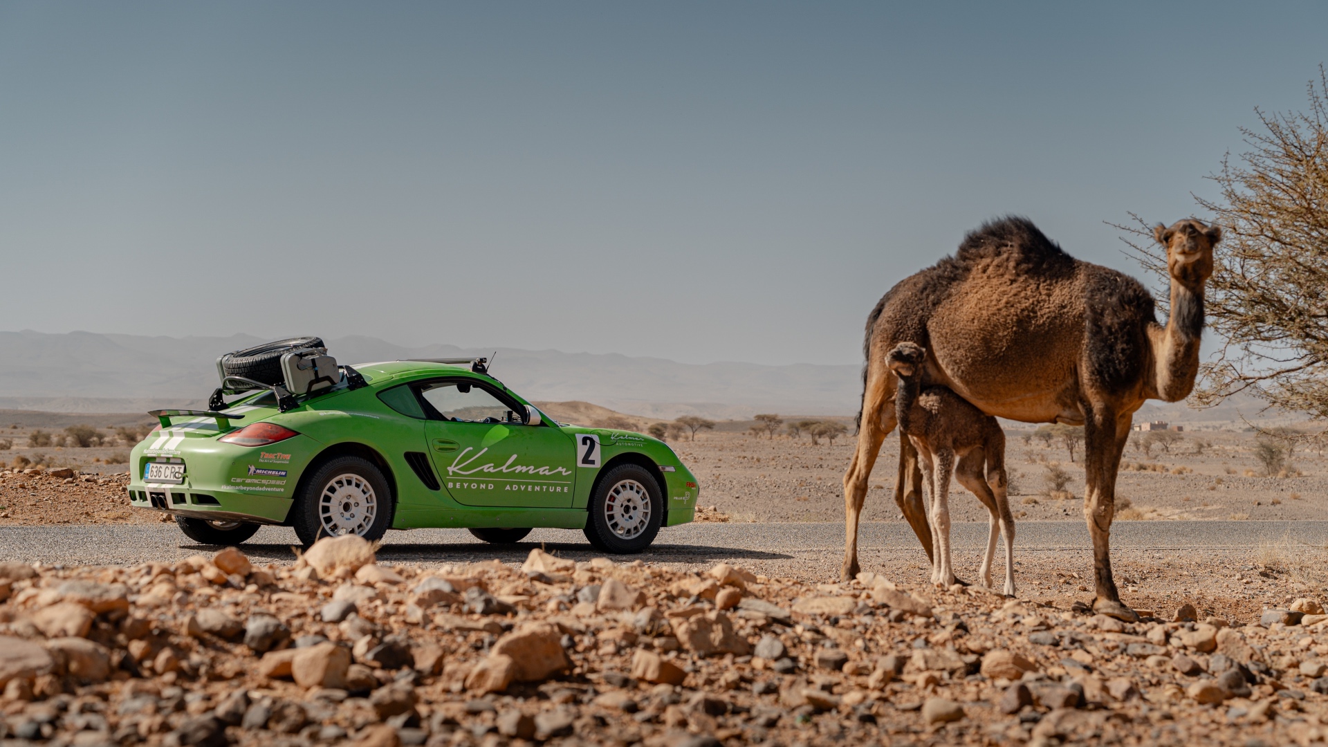 KALMAR Beyond Adventure - Trans Africa - Camel - Full Size