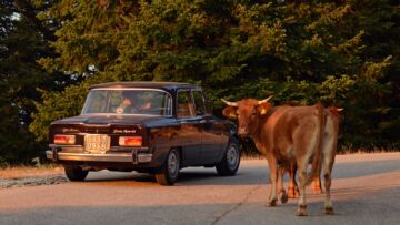 Alfa-Romeo-Giulia-Super-depoca-vacanze-Grecia-2024-10 Alfa-Romeo-Giulia-Super-depoca-vacanze-Grecia-2024-10