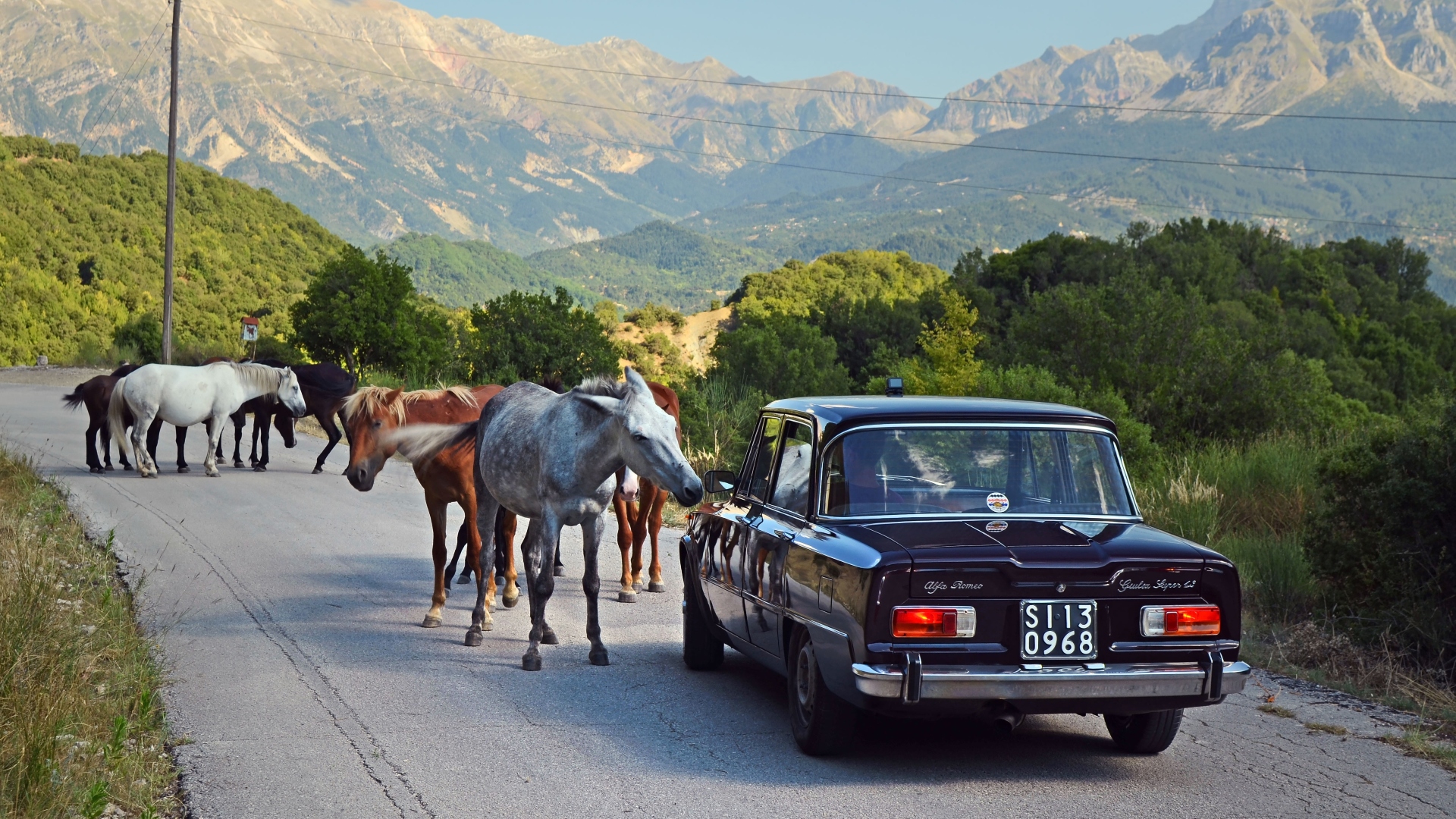 Alfa-Romeo-Giulia-Super-depoca-vacanze-Grecia-2024-14 Alfa-Romeo-Giulia-Super-depoca-vacanze-Grecia-2024-14