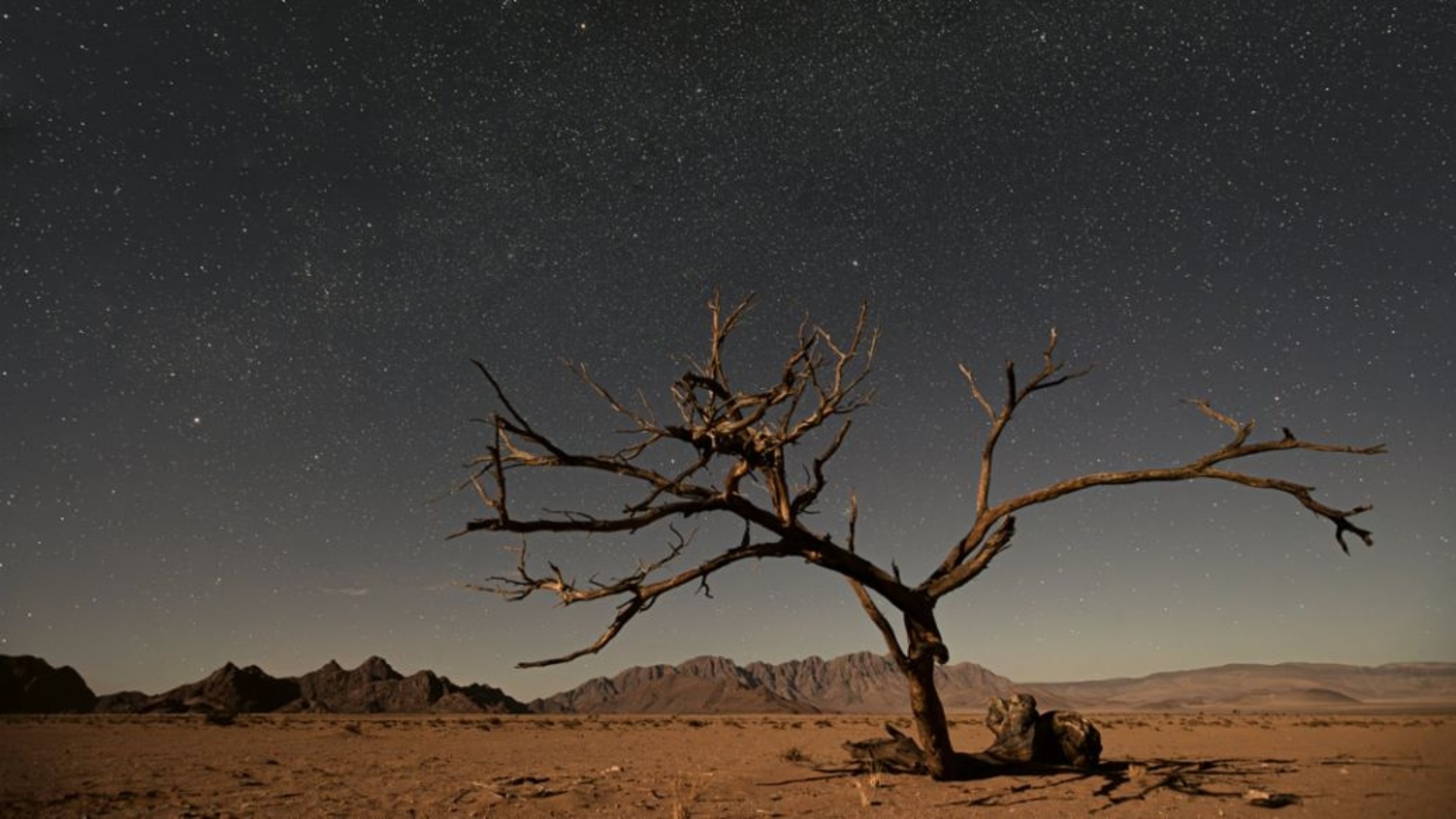 Porsche-911-Camp-Namibia-Dakar-2024-experience-20 Porsche-911-Camp-Namibia-Dakar-2024-experience-20
