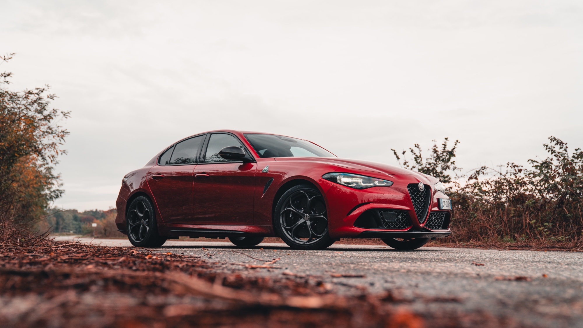 alfa-romeo-giulia-quadrifoglio-super-sport-2024-davide-bo-12 alfa-romeo-giulia-quadrifoglio-super-sport-2024-davide-bo-12