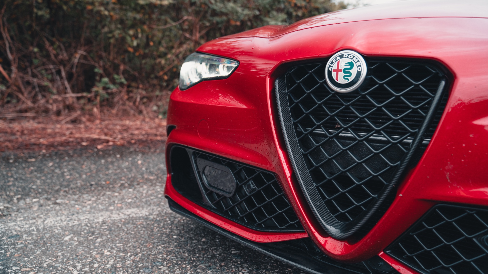 alfa-romeo-giulia-quadrifoglio-super-sport-2024-davide-bo-33 alfa-romeo-giulia-quadrifoglio-super-sport-2024-davide-bo-33