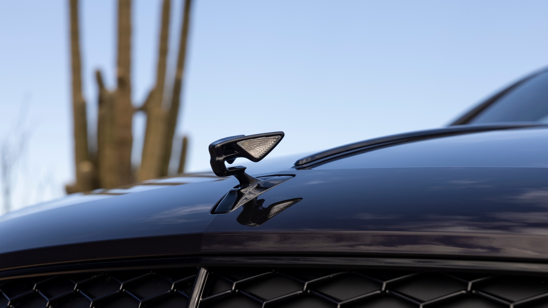 Bentley-Flying-Spur-Speed-2024-nov-22 Bentley-Flying-Spur-Speed-2024-nov-22