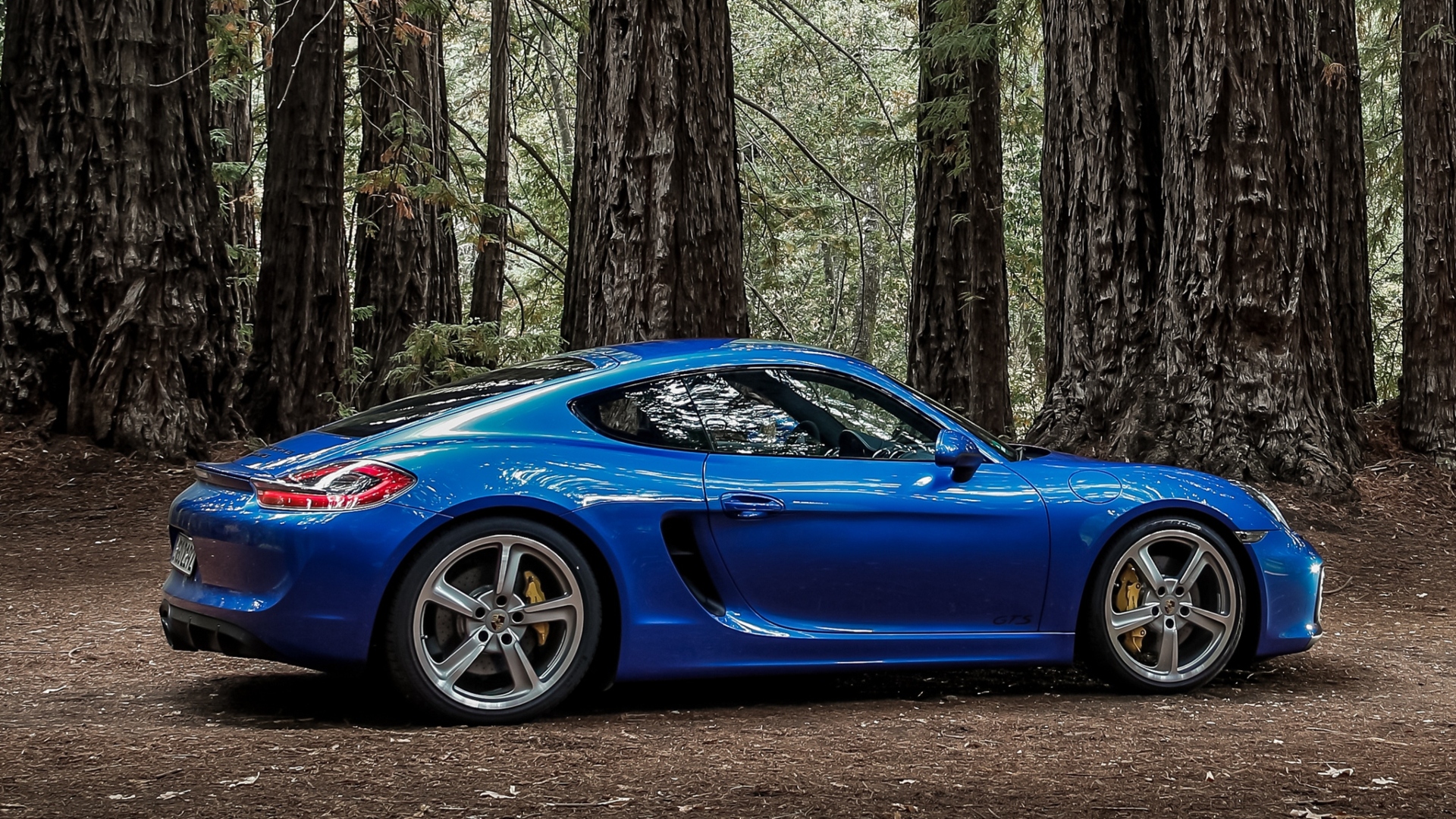 Porsche-GTS-Boxster-Cayman-Panamera-Cayenne-11 Porsche-GTS-Boxster-Cayman-Panamera-Cayenne-11