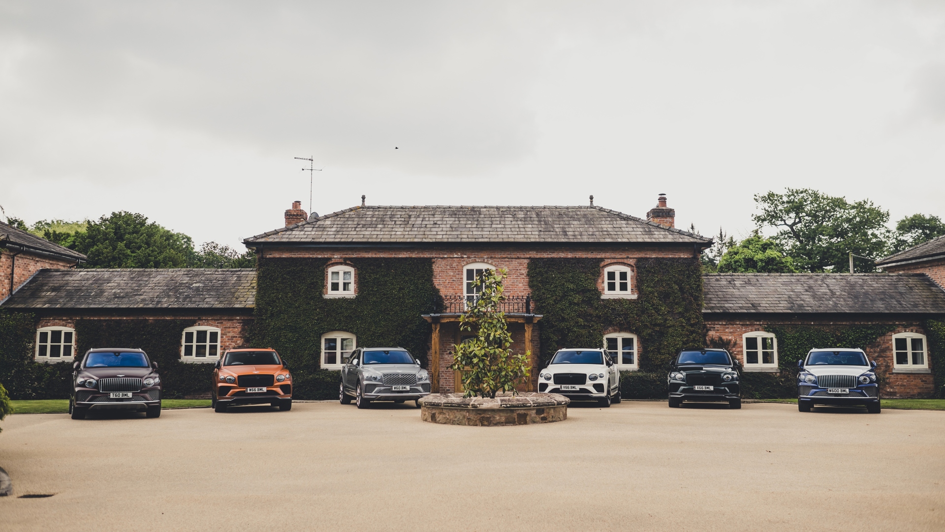 the-mews-bentley-cottage-personalizzazione-1 the-mews-bentley-cottage-personalizzazione-1