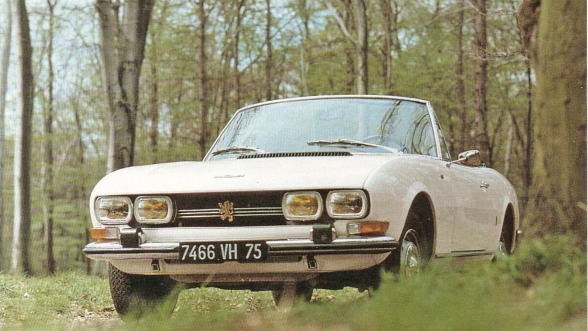 504Cabriolet (1) 504Cabriolet (1)