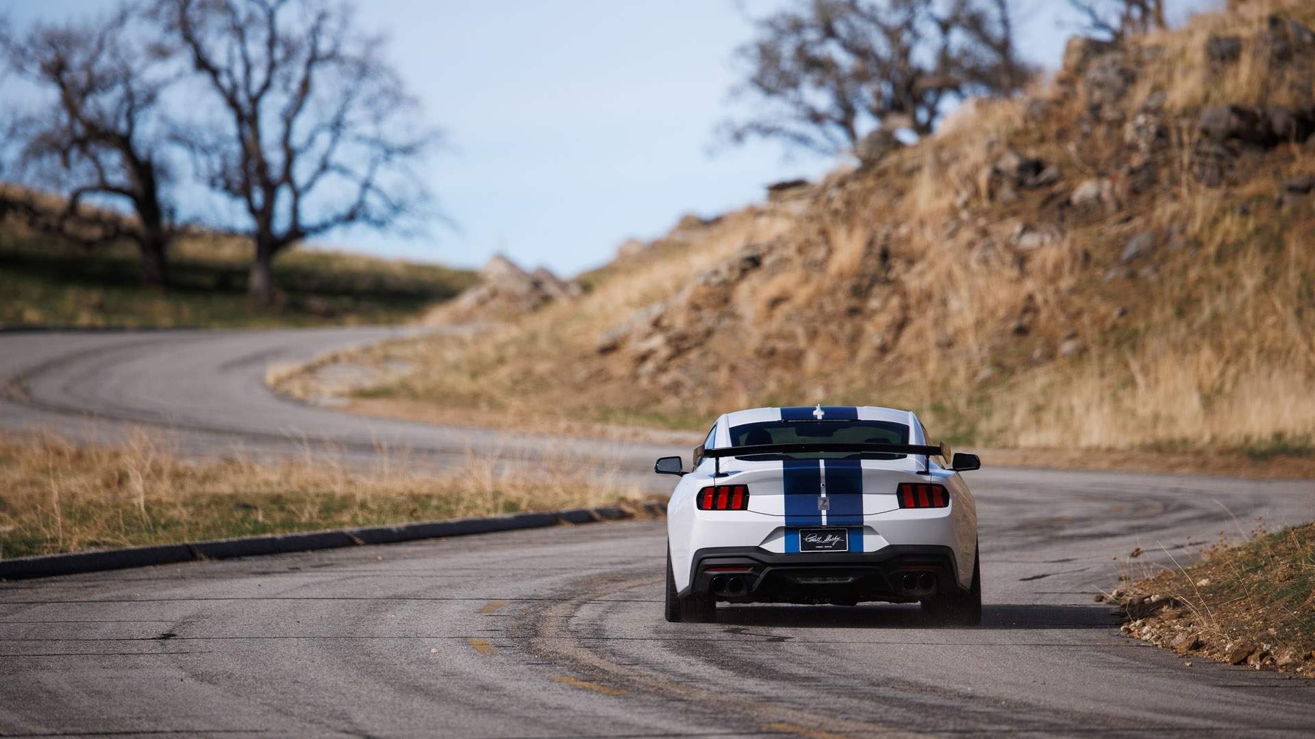 ford-mustang-shelby-gt350-2025-5