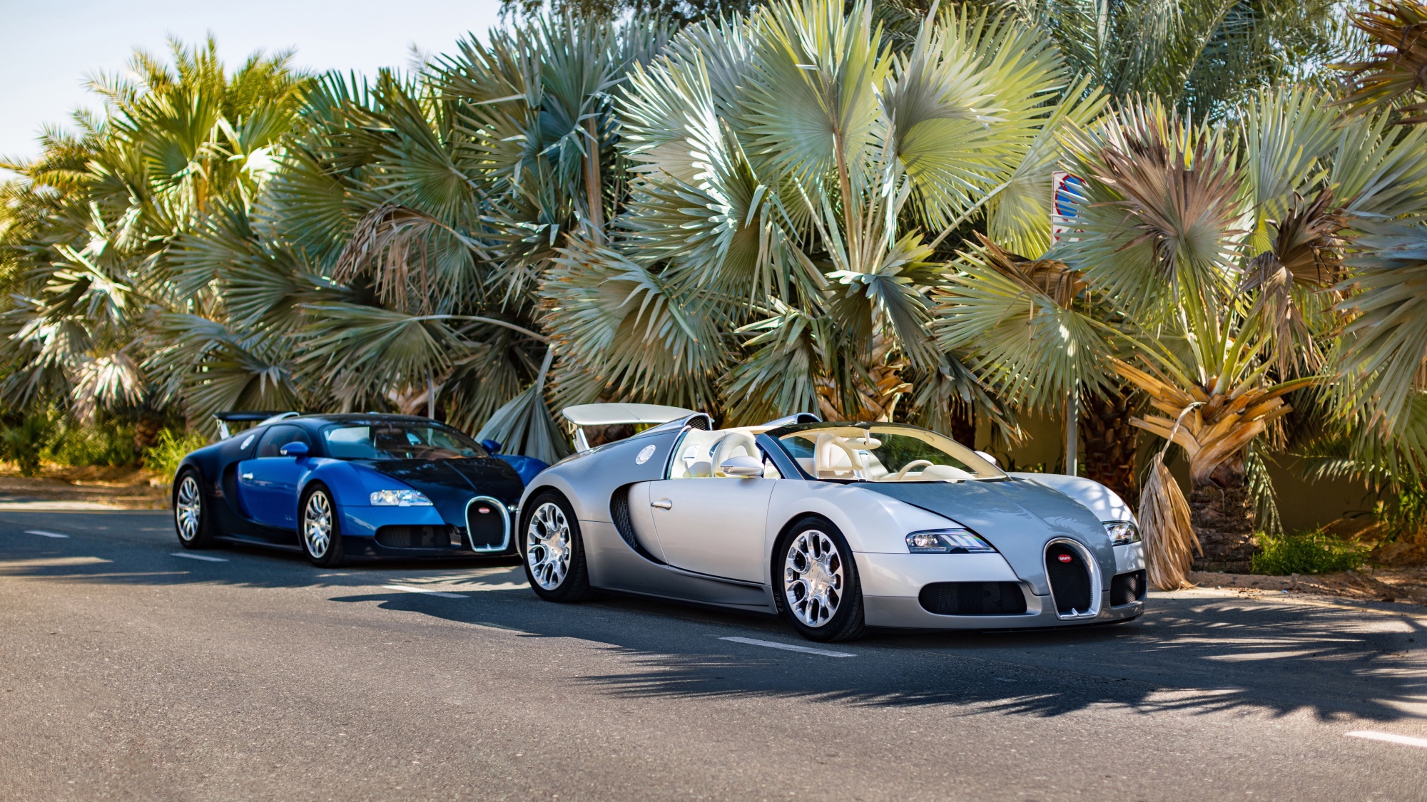 bugatti-veyron-storia-compleanno-1