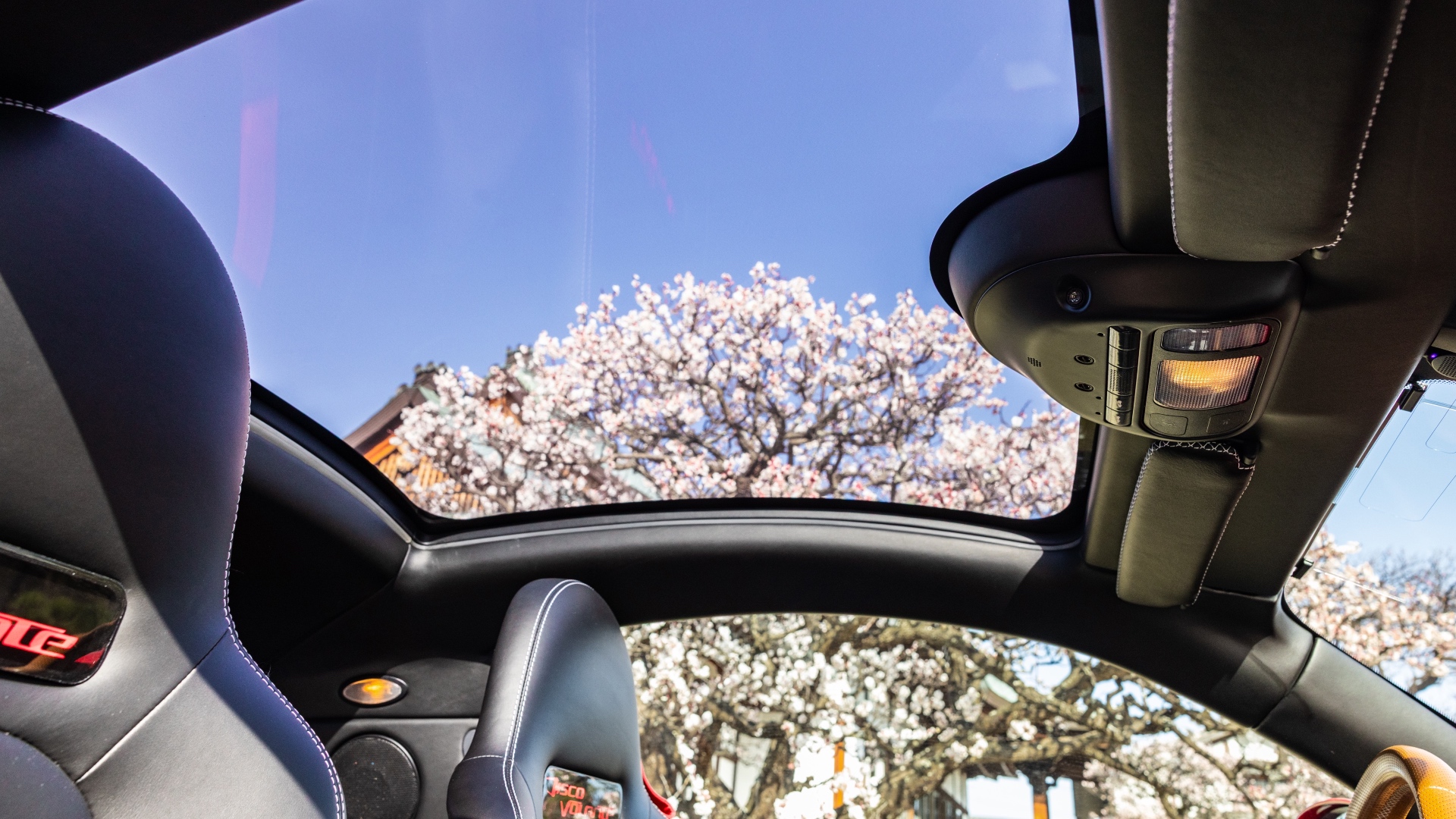 2018-Alfa-Romeo-Disco-Volante-by-Touring_1317117 2018-Alfa-Romeo-Disco-Volante-by-Touring_1317117