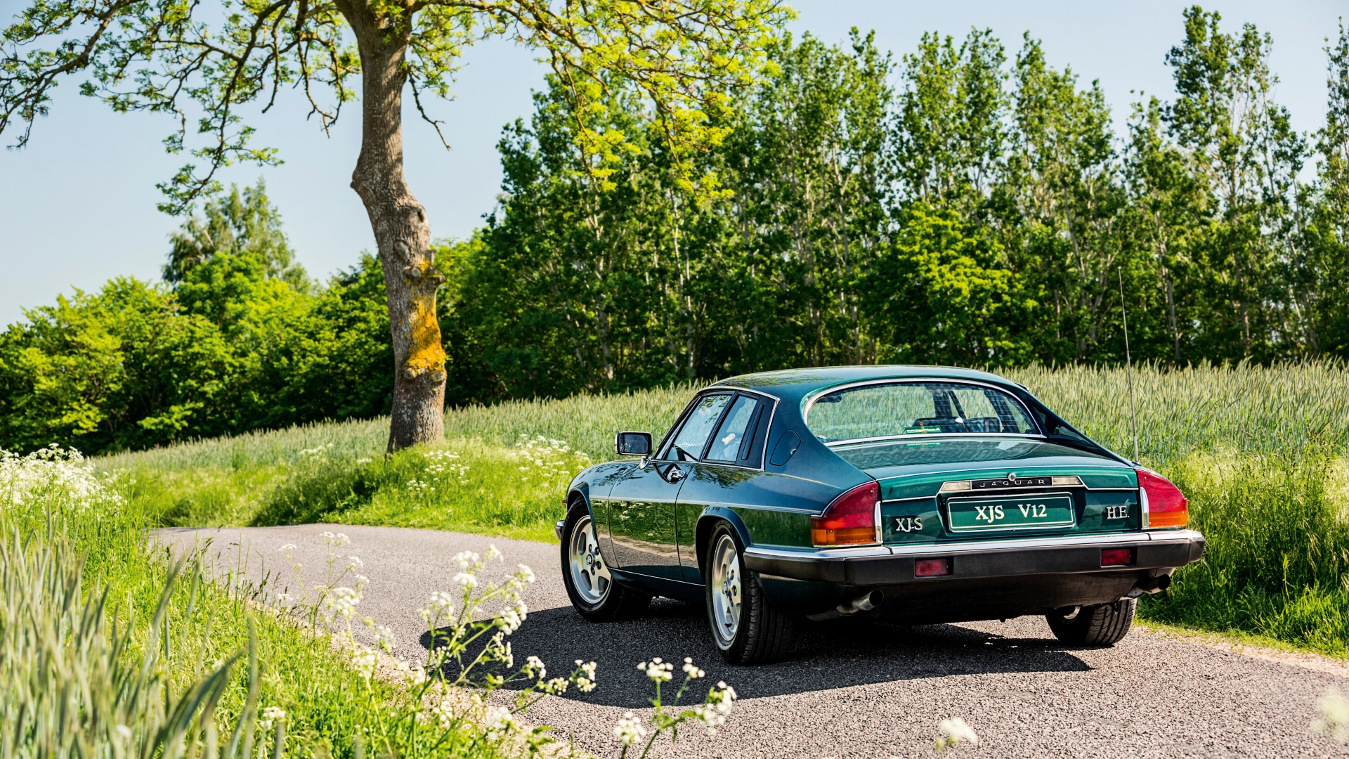 Jaguar-XJ-S-XJS-storia-caratteristiche-tecniche-quotazioni-prestazioni-e-type-12