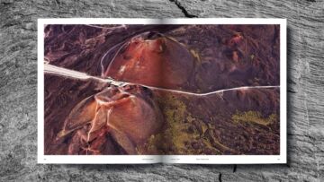 Mountain-Roads-libro-gallery-3 Mountain-Roads-libro-gallery-3