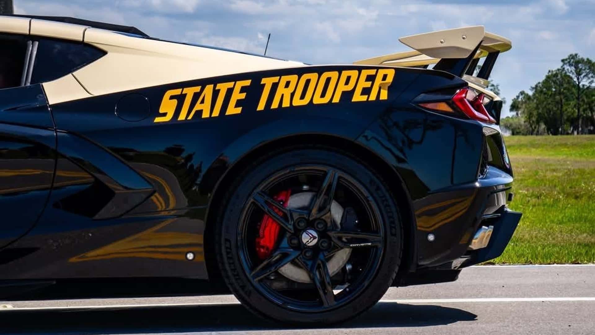 Se vedi questa auto della Polizia… non puoi scappare!