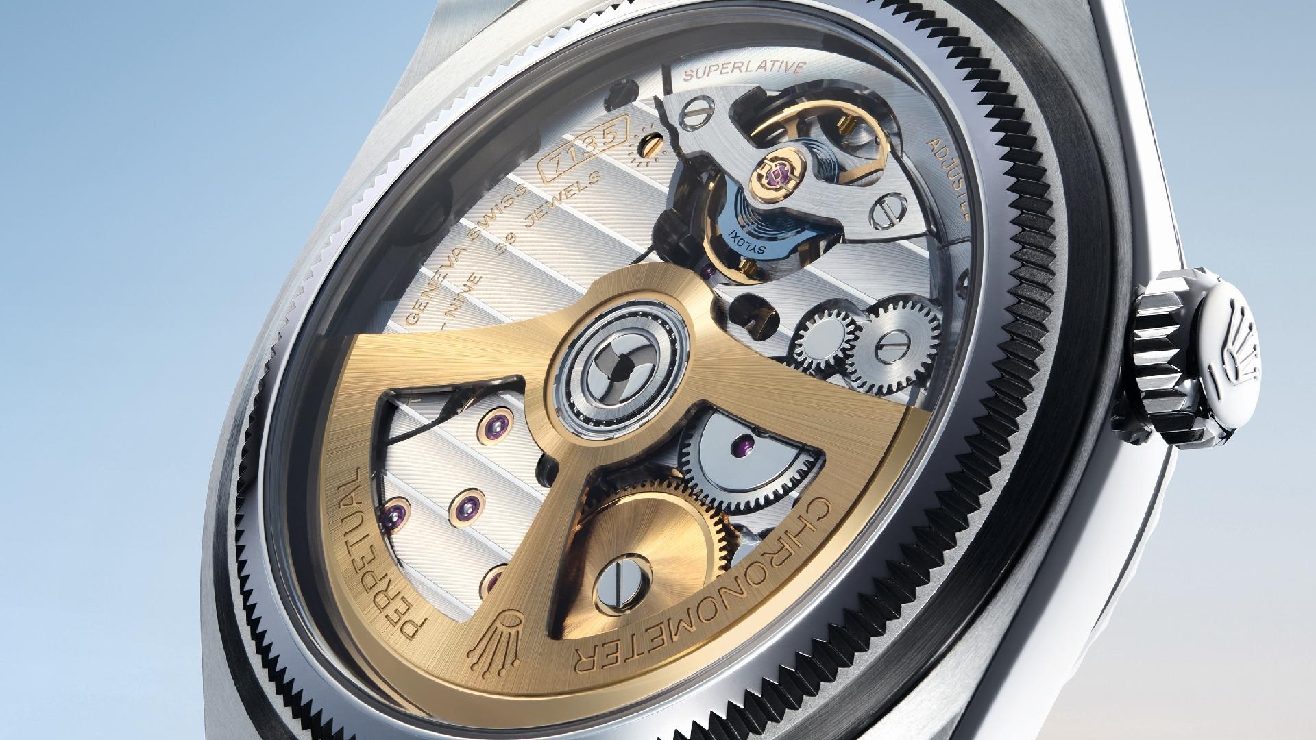 Transparent backcase of the Land-Dweller 40 Transparent backcase of the Land-Dweller 40