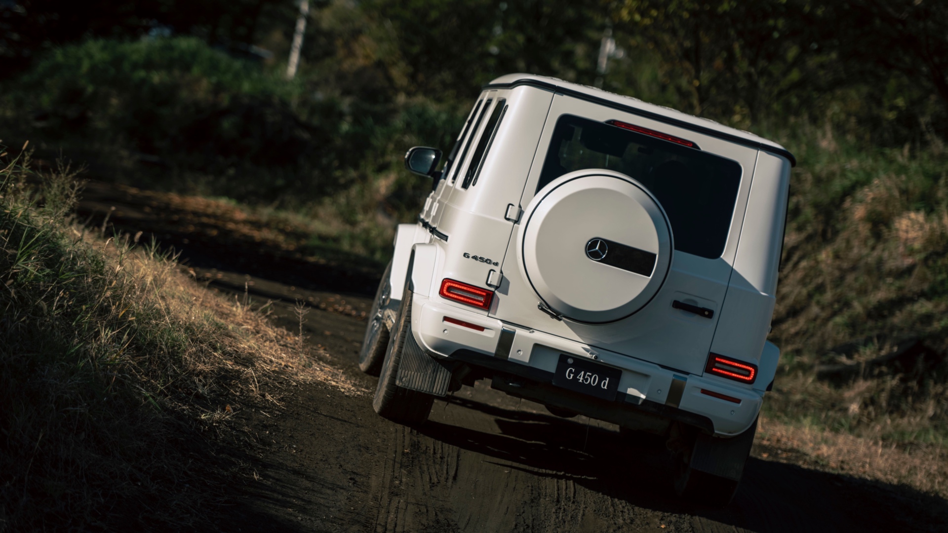 mercedes-benz_g_450d_89