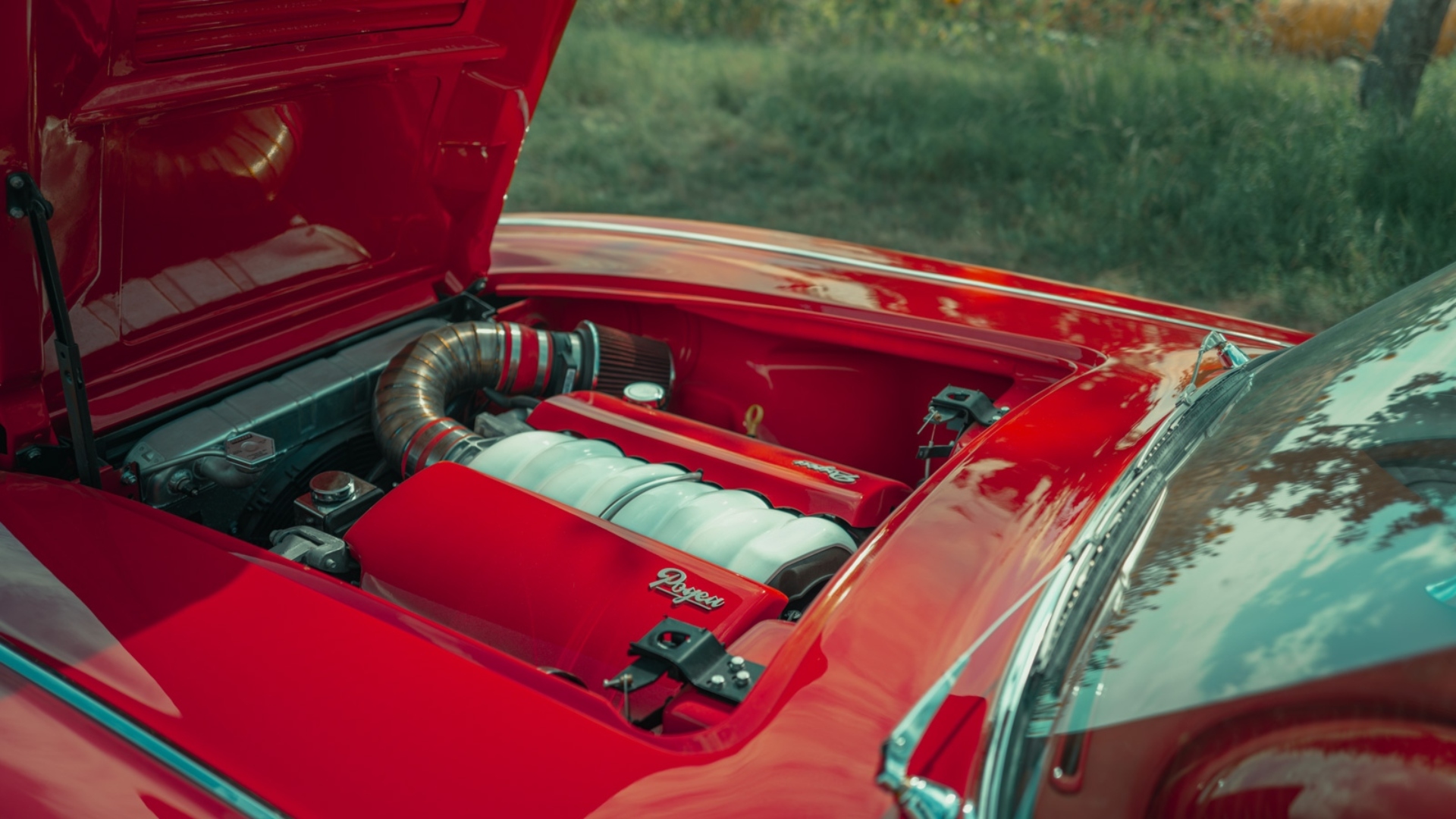 engine bay from left door