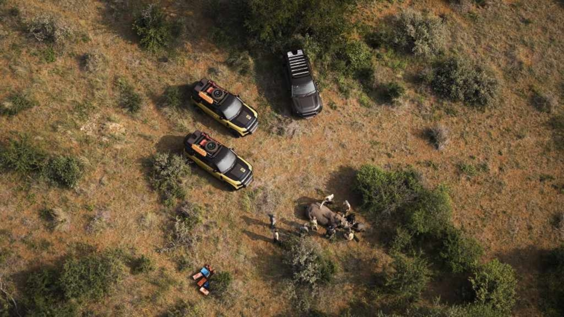 Land-Rover-Defender-Trophy-2026-4