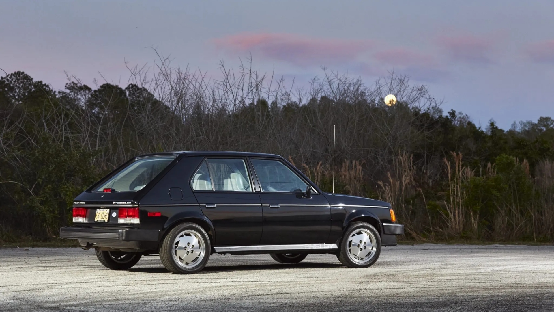 Shelby-Omni-GLH-S-10