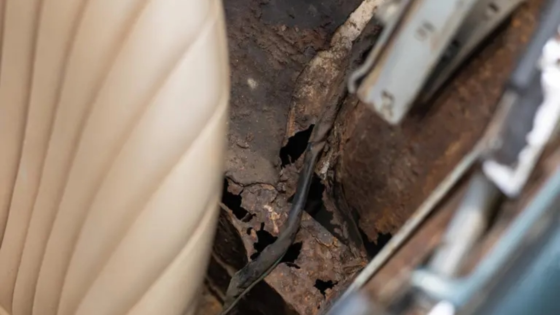 Jaguar-E-Type-barn-find-2026-9 Jaguar-E-Type-barn-find-2026-9