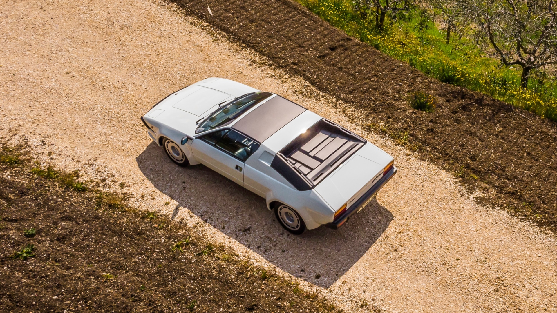 Lamborghini-Jalpa-1981-4