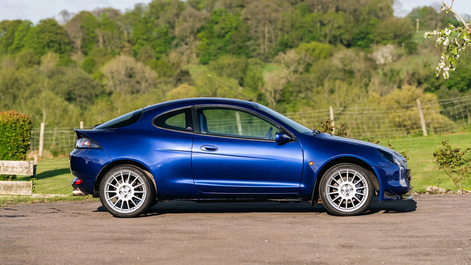 ford-racing-puma-collecting-cars-3