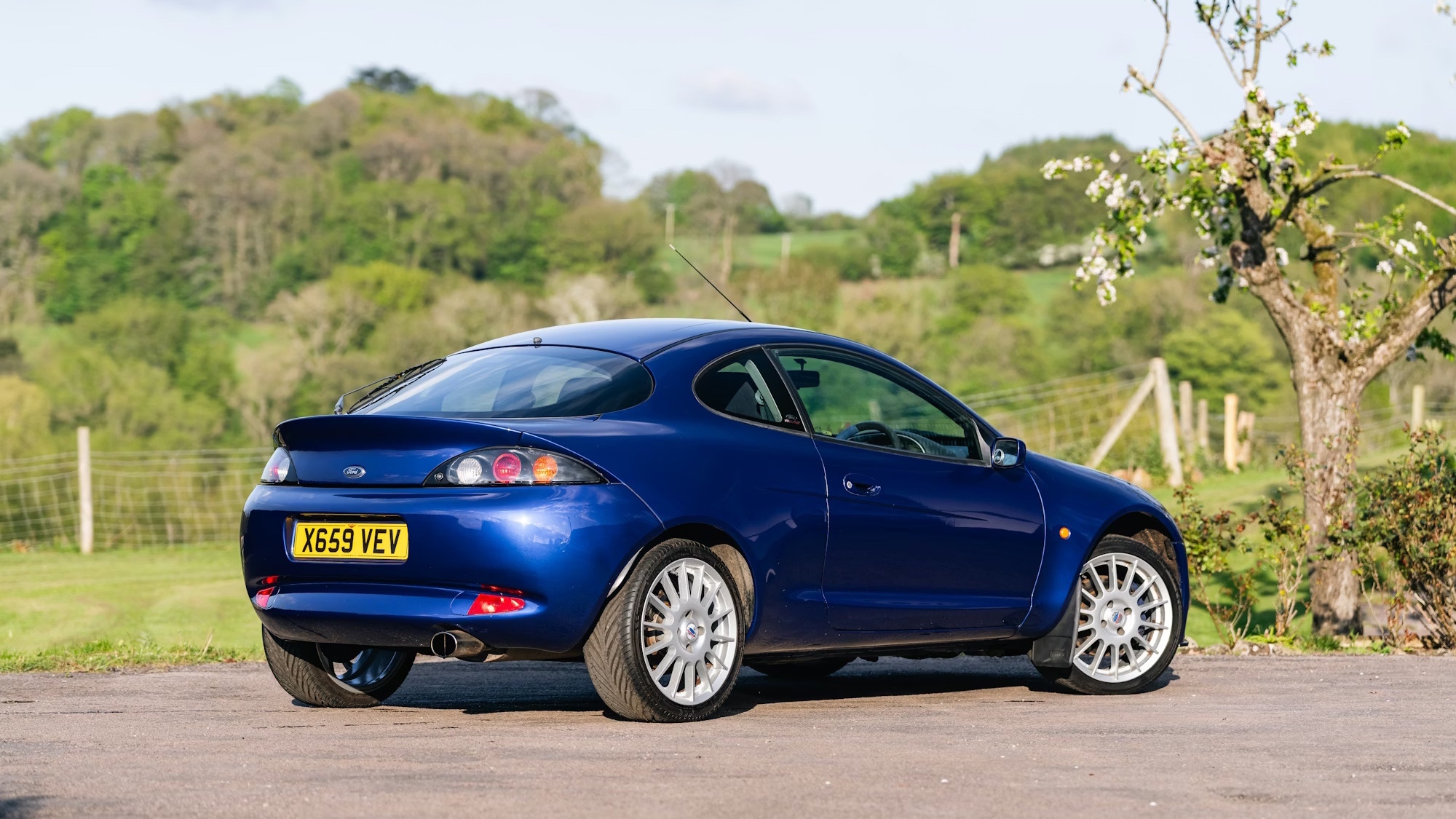 ford-racing-puma-collecting-cars-4