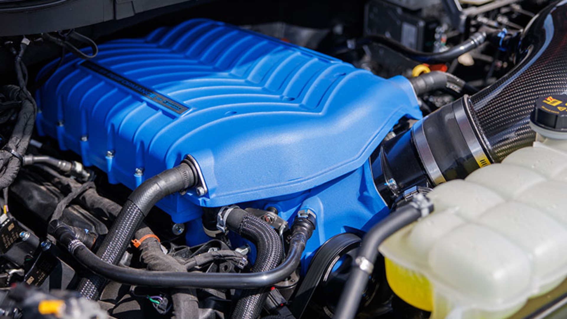 Shelby-American-F-150-Super-Snake-2026-3 Shelby-American-F-150-Super-Snake-2026-3